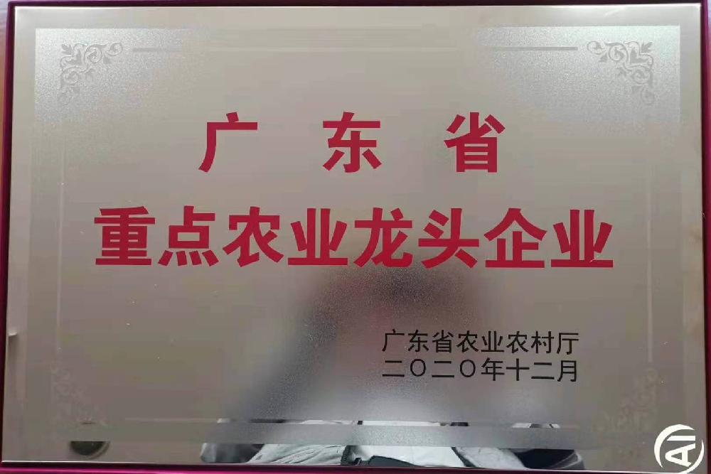 更上一層樓！追求無止境